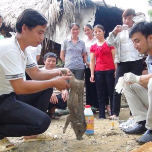 TƯ VẤN PT CỘNG ĐỒNG